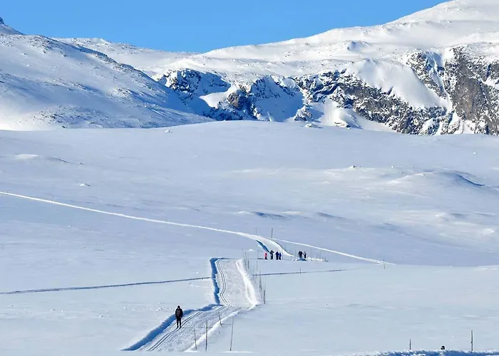 Havsdalsgrenda Lägenhet Geilo
