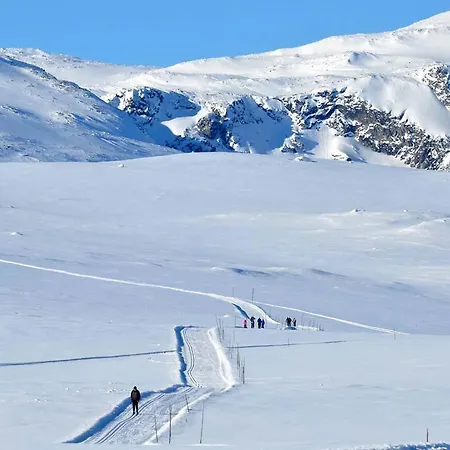 Havsdalsgrenda Appartement Geilo
