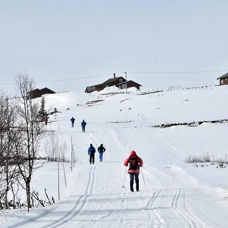 Apartment Havsdalsgrenda Geilo